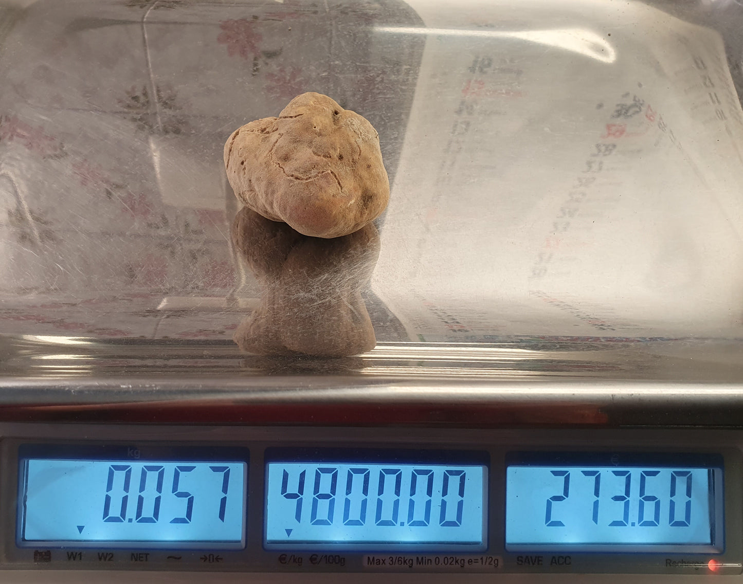 Fresh White Truffle
