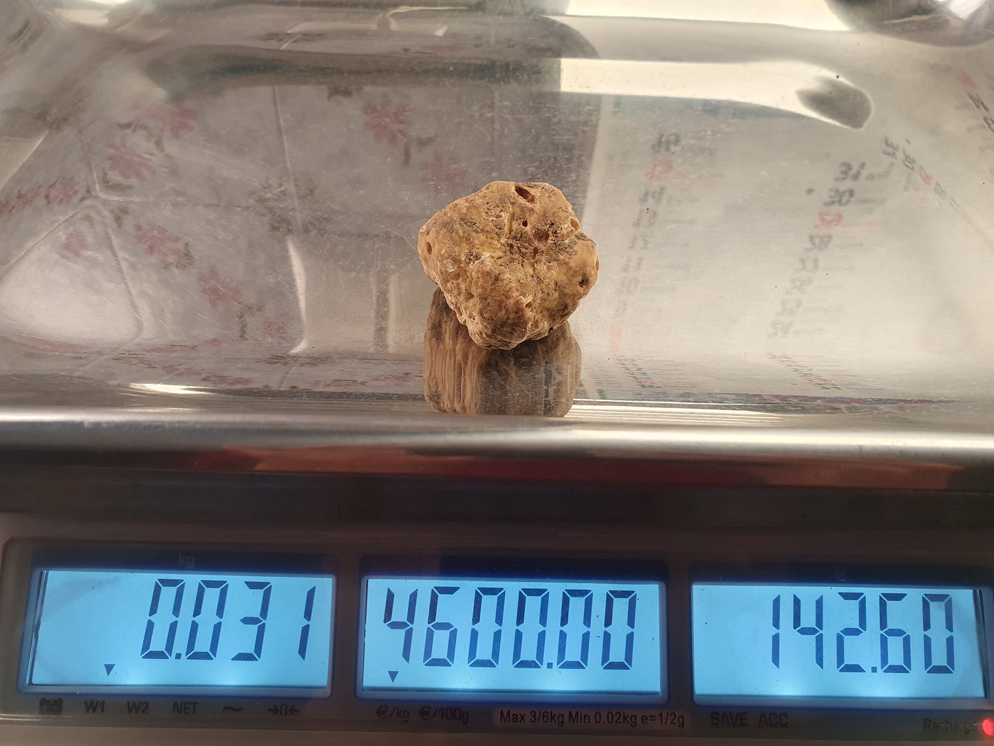 Tartufo Bianco Fresco
