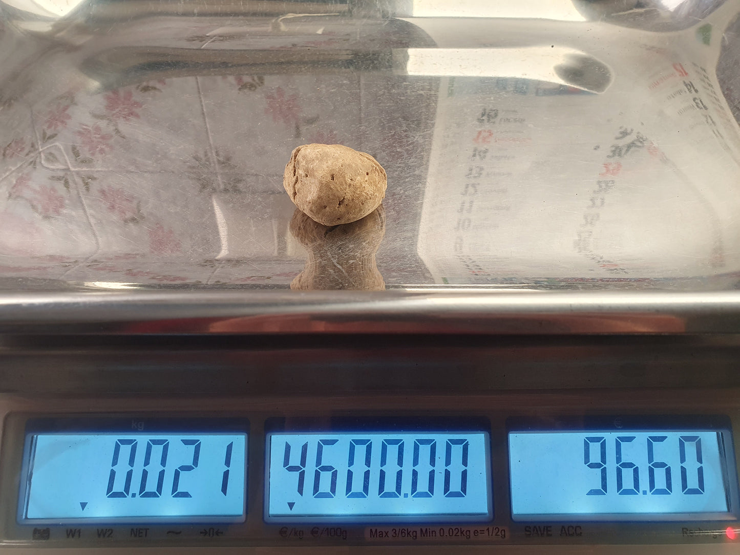 Tartufo Bianco Fresco