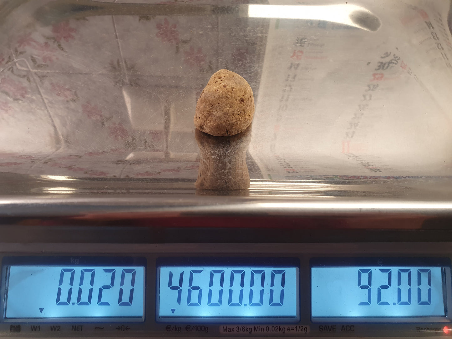 Fresh White Truffle