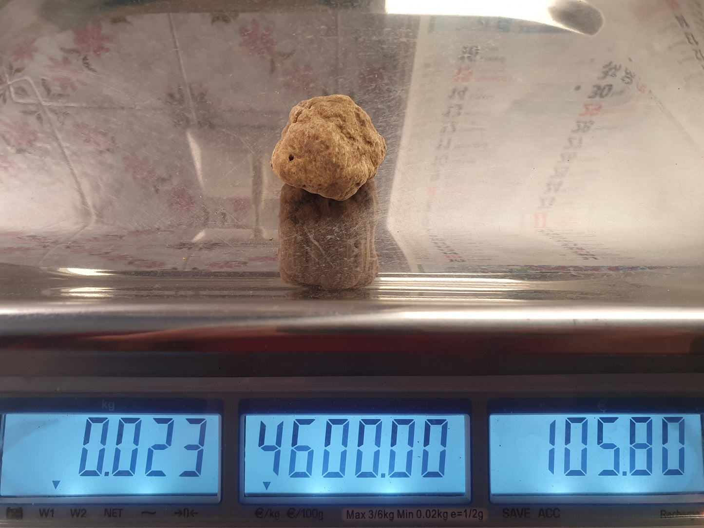 Tartufo Bianco Fresco