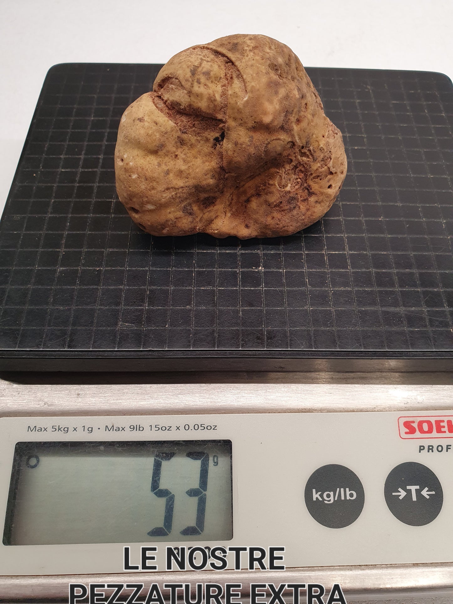 Tartufo Bianco d’Alba Fresco