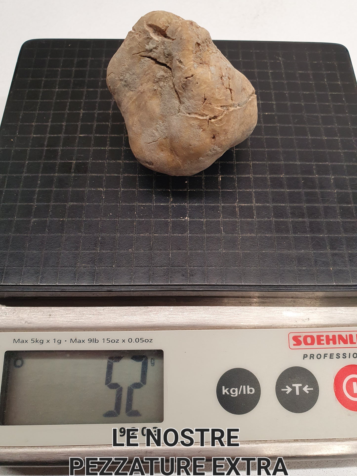 Tartufo Bianco d’Alba Fresco