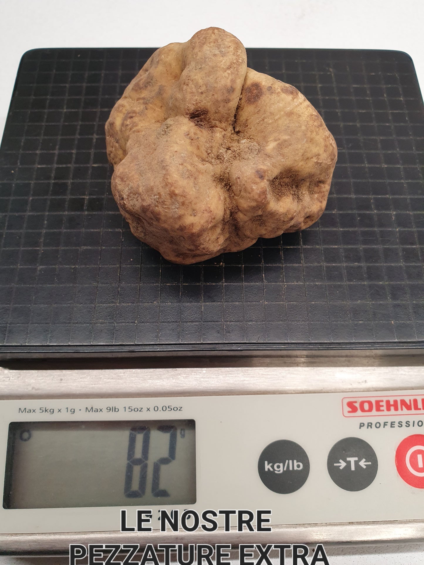 Tartufo Bianco d’Alba Fresco