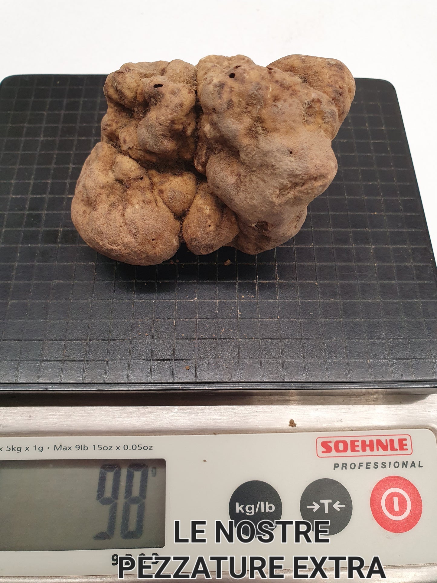 Tartufo Bianco d’Alba Fresco