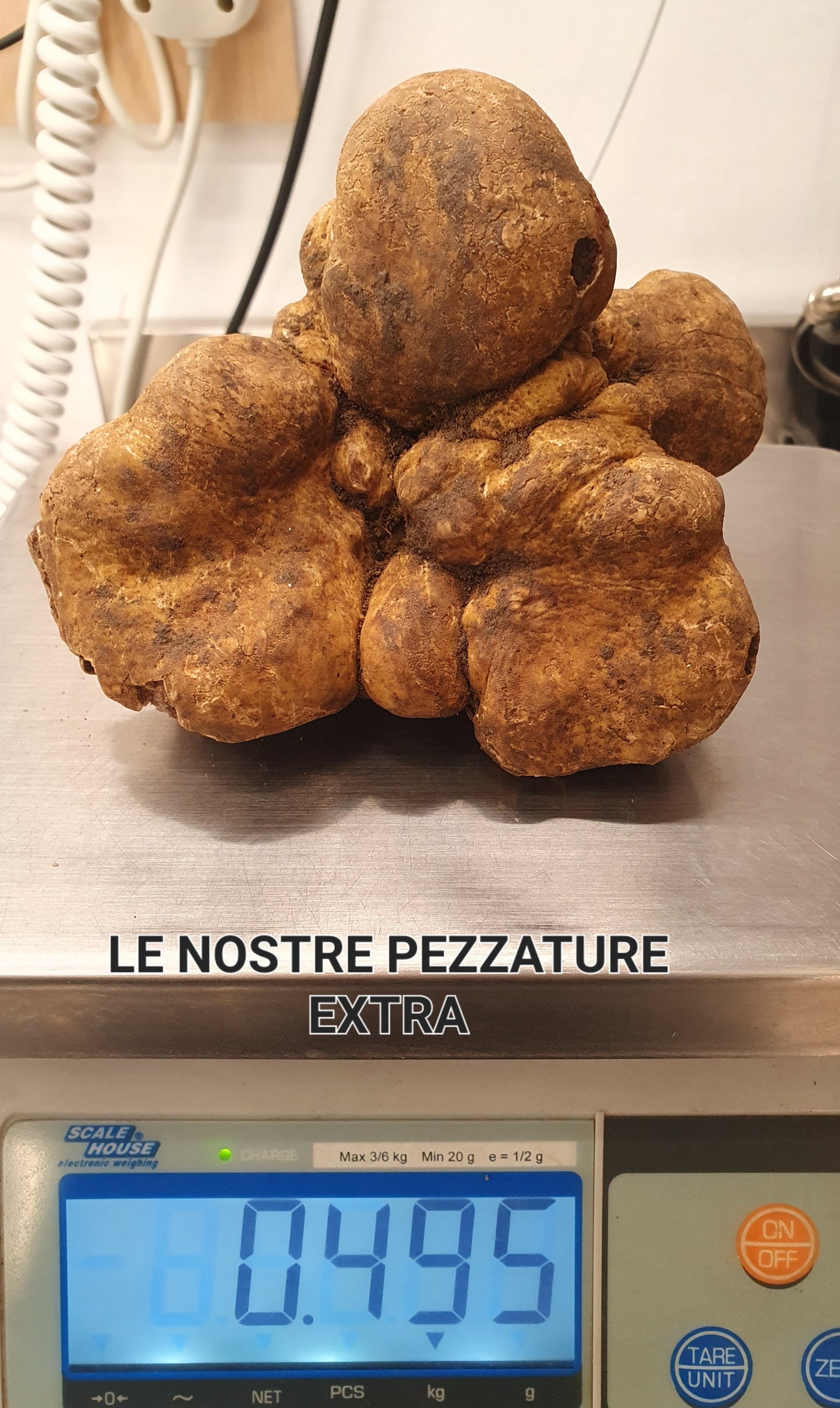Tartufo Bianco d’Alba Fresco