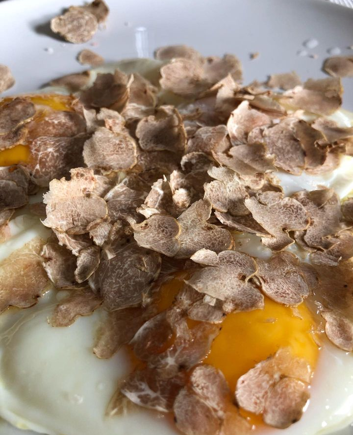 Fresh Alba White Truffle