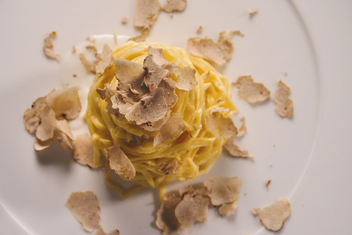 Fresh Alba White Truffle