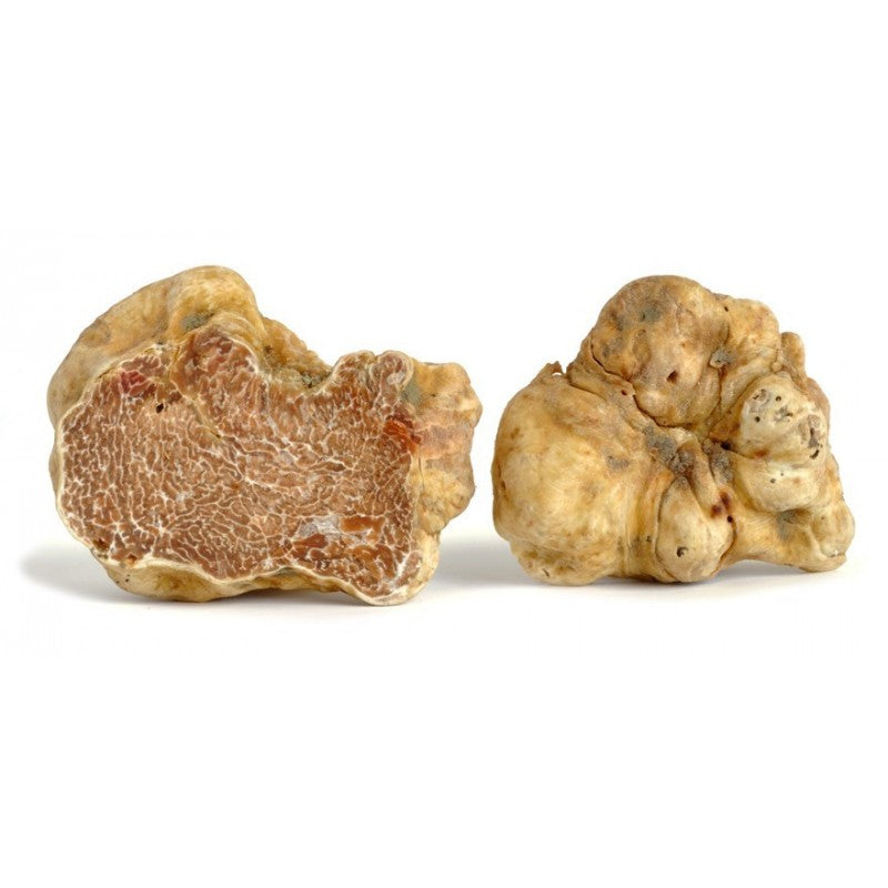 Fresh Alba White Truffle