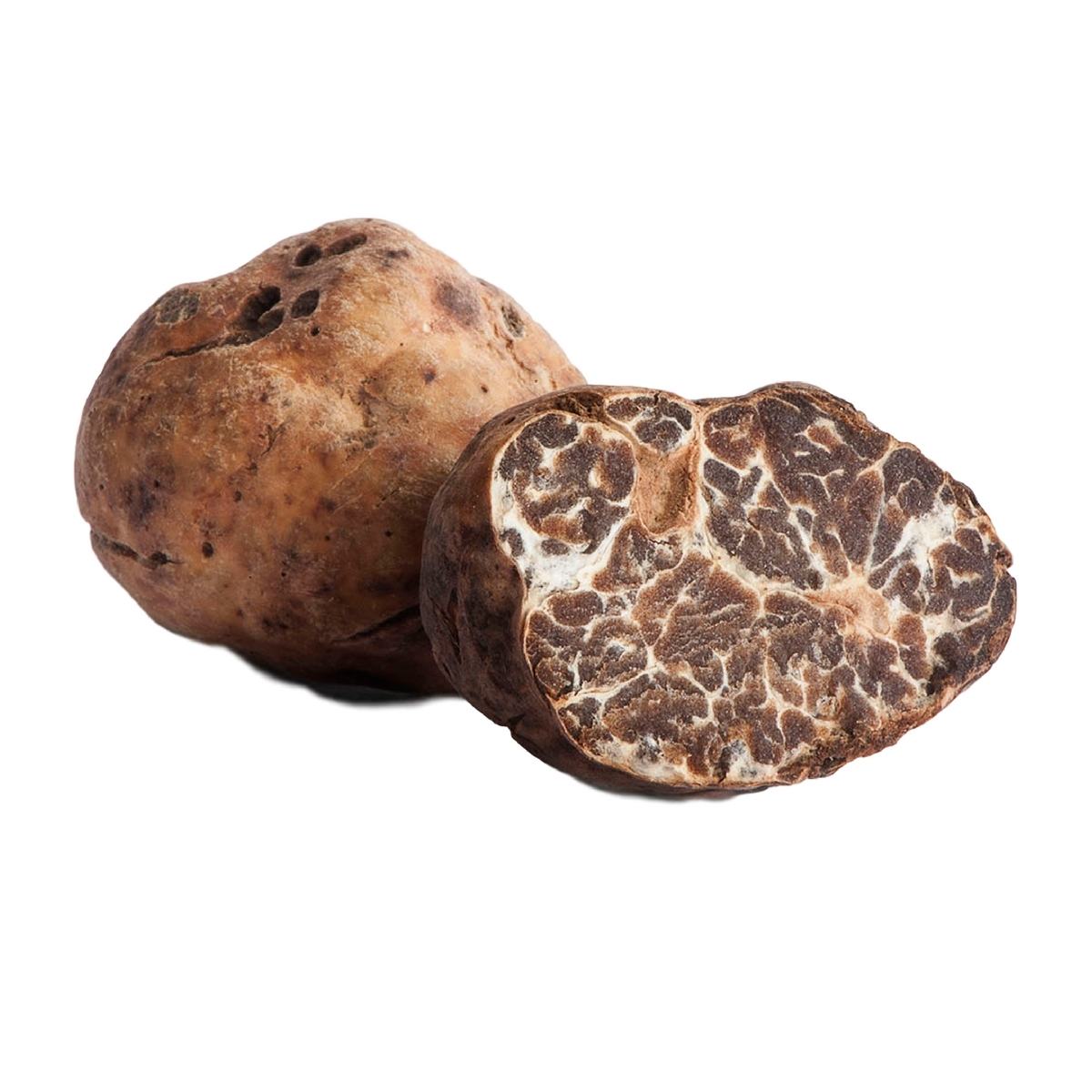 Tartufo Bianchetto Fresco (Tuber Albidum Pico o Tuber Borchii Vitt.)