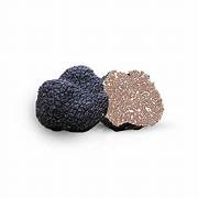 Tartufo Nero Uncinato Fresco