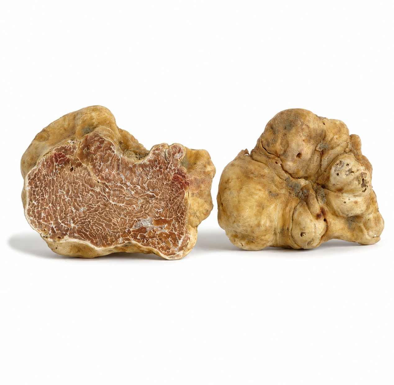 Fresh Alba White Truffle (Tuber Magnatum Pico)