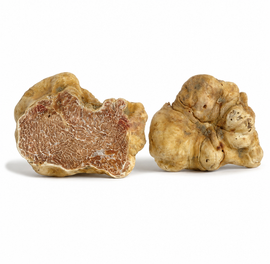 Truffe blanche fraîche d'Alba (Tuber Magnatum Pico)