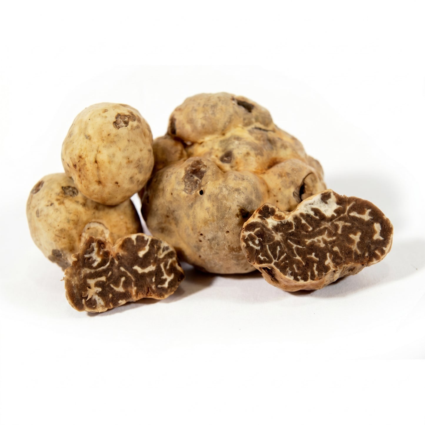 Truffe blanche fraîche (Tuber Albidum Pico ou Tuber Borchii Vitt.)