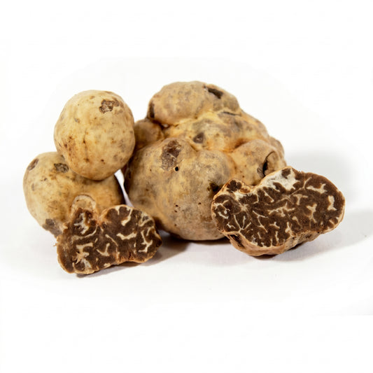 Truffe blanche fraîche (Tuber Albidum Pico ou Tuber Borchii Vitt.)
