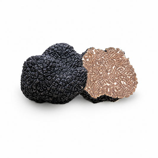 Truffe noire fraîche Uncinato (Tuber Uncinatum Chatin)